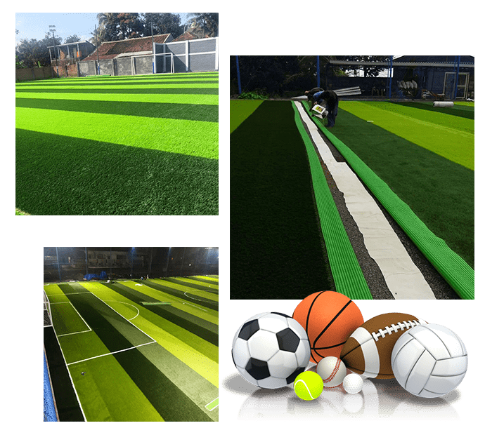 profil-PT-TMY SPORT SOCCER